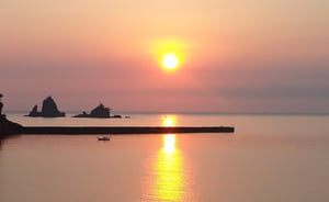 西伊豆と大島水産